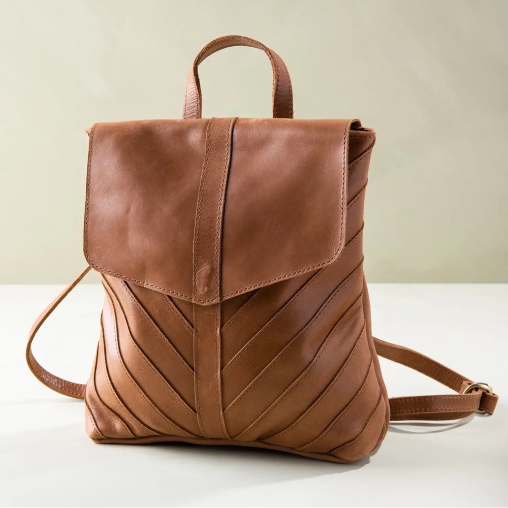 Leather back pack
